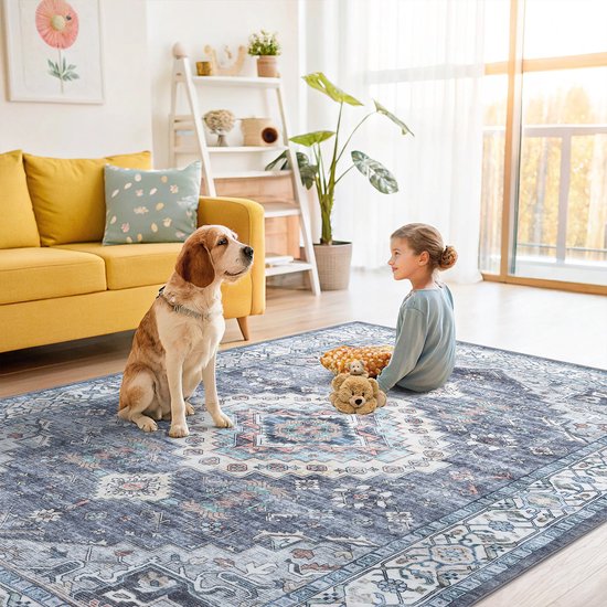 Een kind en hond zitten op een grijsblauw kleed met patroon in een woonkamer.