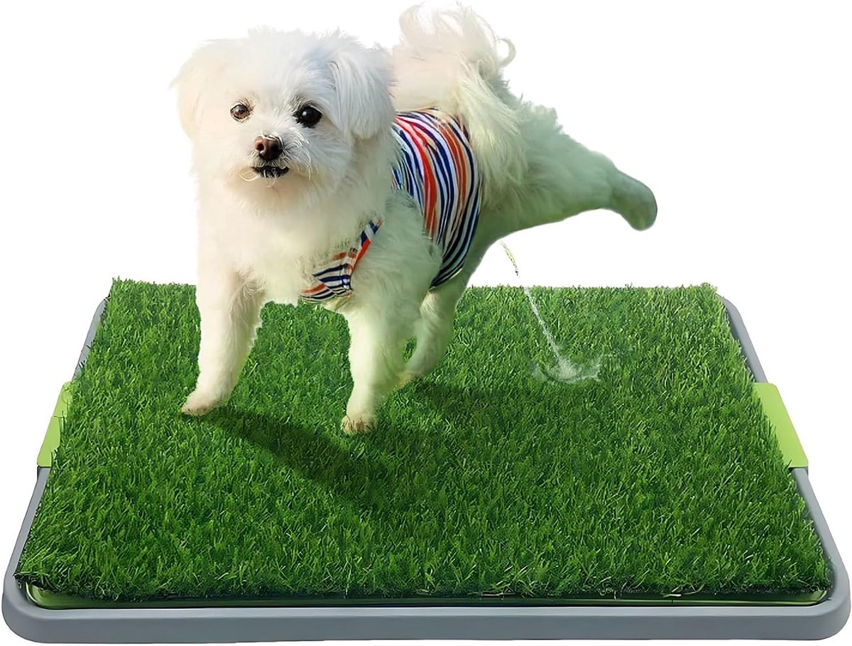 Honden Toilet Kom met Wasbare Plasmat en Kunstgras Patch voor Puppy Zindelijkheidstraining, Draagbare Binnenkom voor Honden