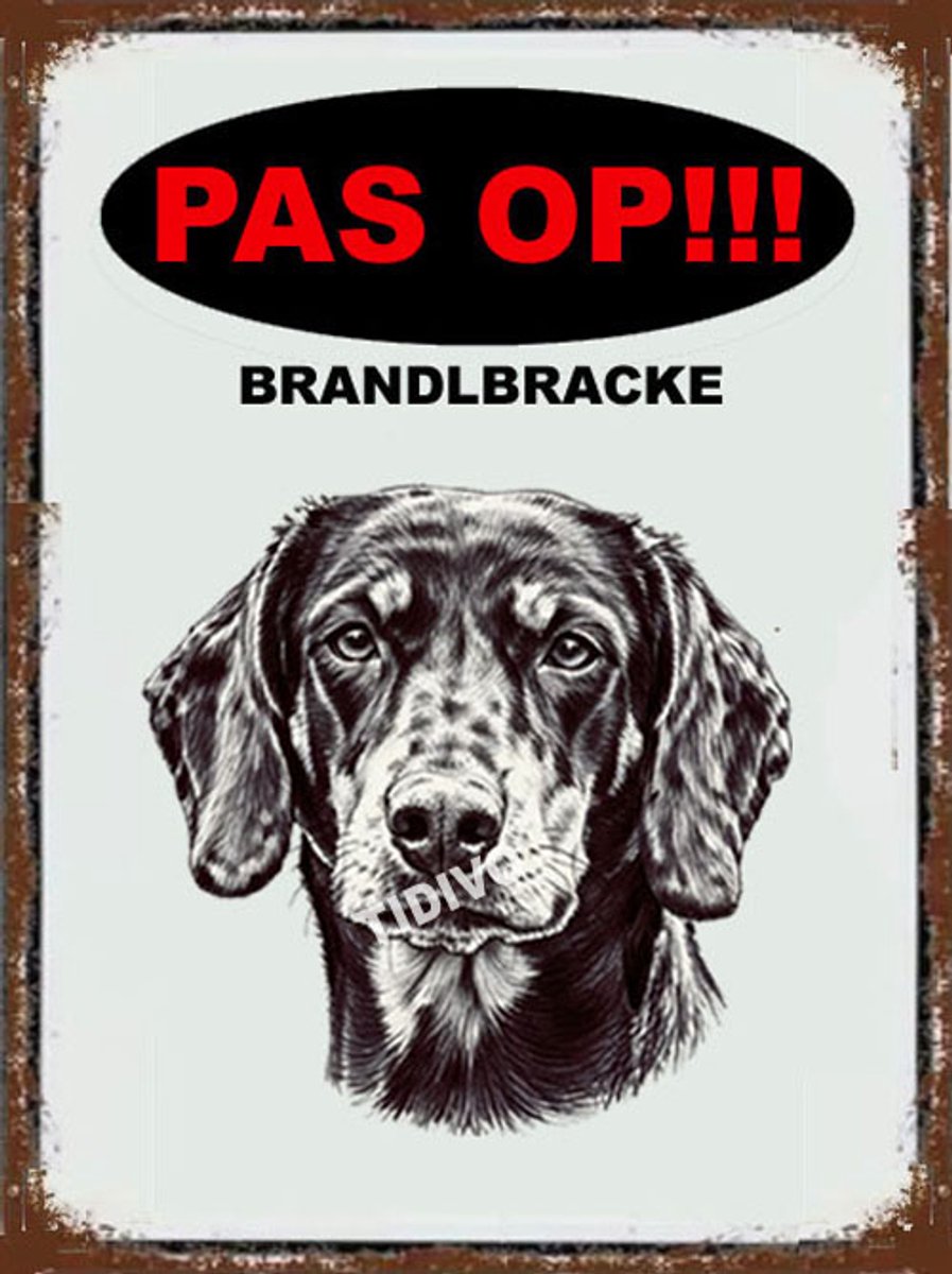 Brandlbracke 17