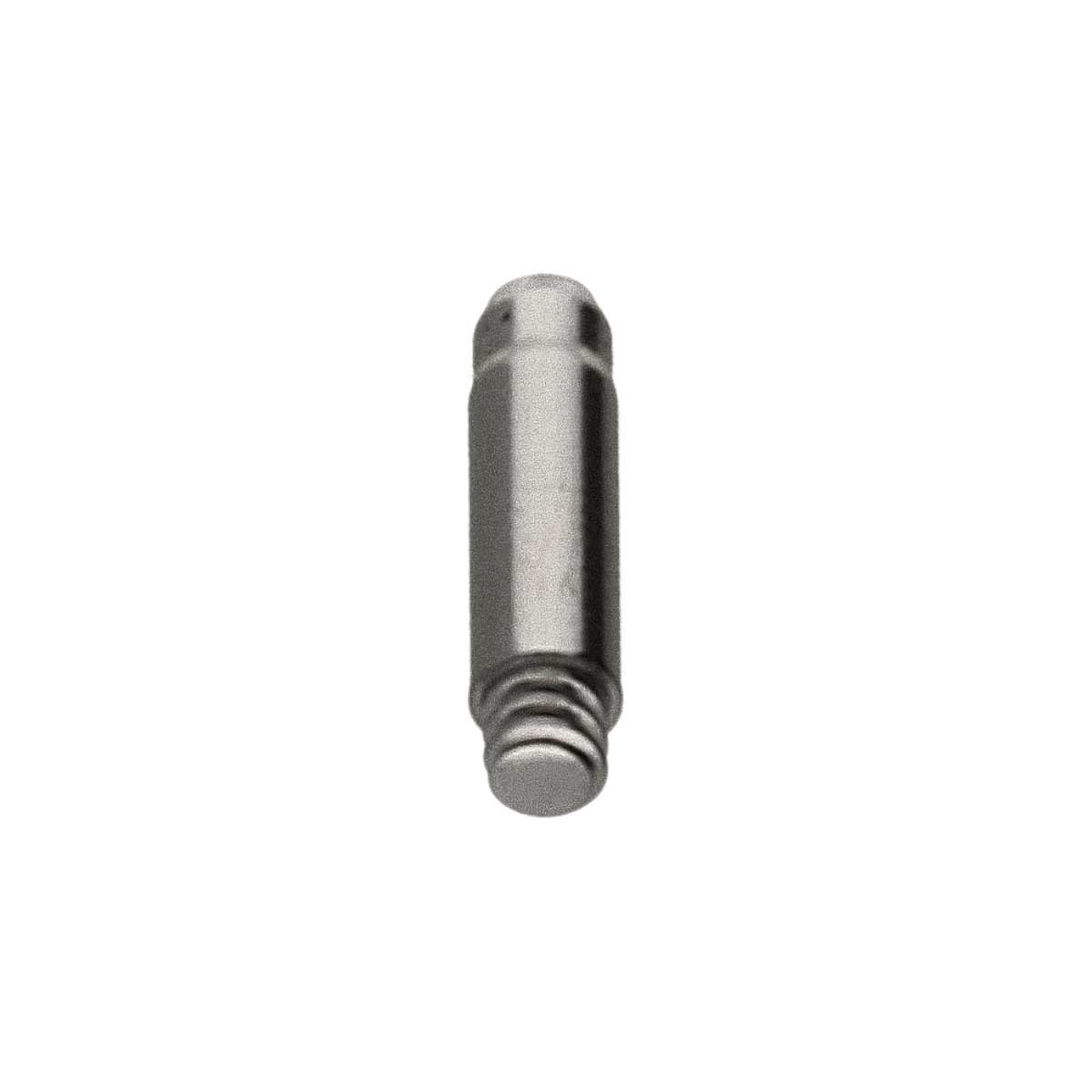 RX 3035 Pen voor dagpal