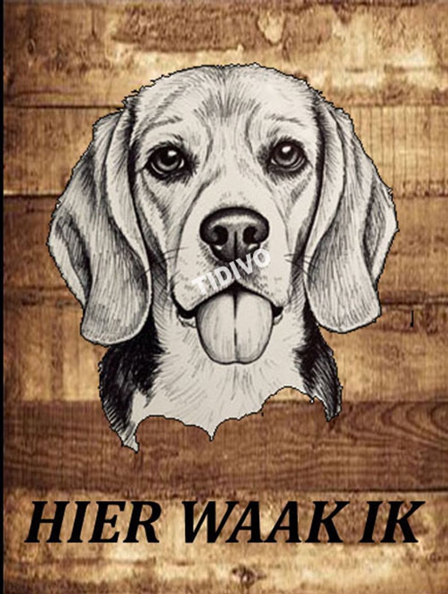 Beagle Harrier 20