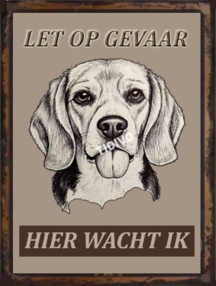 Beagle Harrier 18