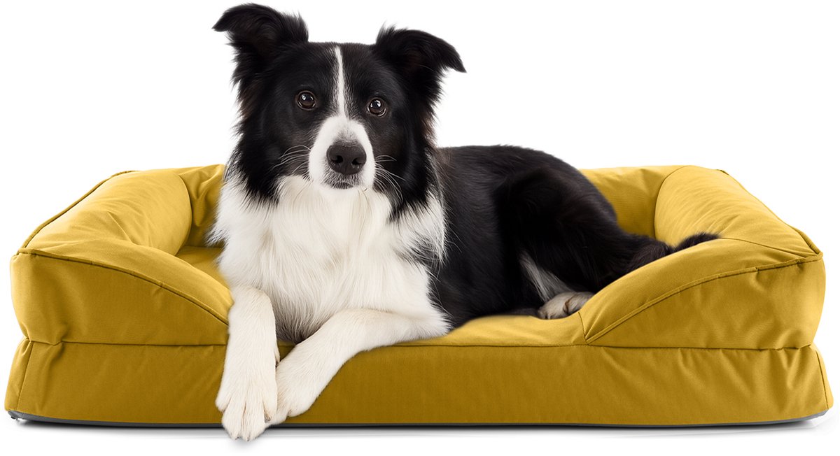 Lumaland orthopedisch hondenbed voor binnen en buiten | ergonomische hondensofa 90x65 cm – ideaal voor middelgrote honden | antislipbodem | vulling en hoes wasbaar | waterdichte hondenmand