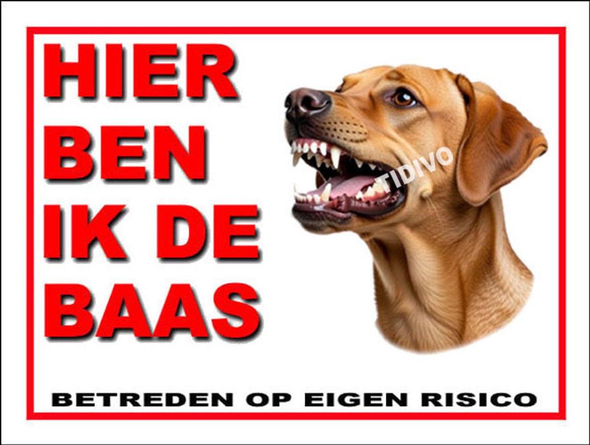 Broholmer 2