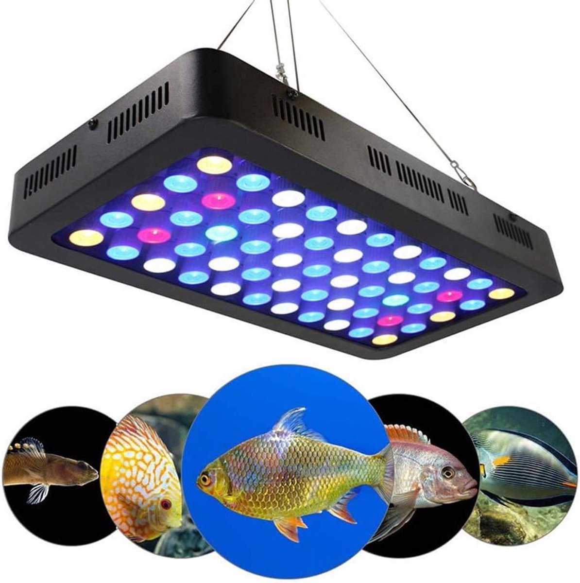 Aquarium LED Verlichting - Koraal Reef Lamp - Zeewater Aquarium - Dubbele Dimmer Functie