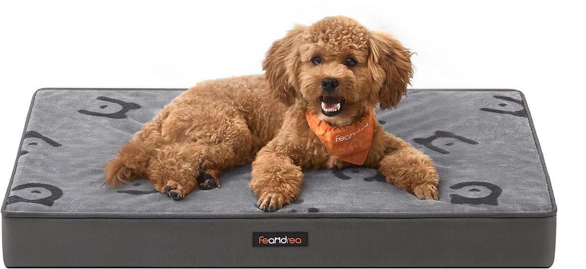 Feandrea - Hondenmand - Hondenbed met Wasbaar Kussen - Afneembare en Waterdichte Hondenmat - Voor Kleine Honden
