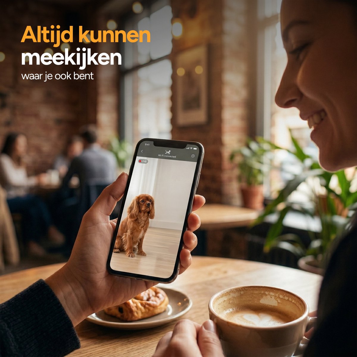 Viervoeter Feed Pro - Automatische Voerbak 6L - HD camera & Audio - Kat en Hond - Voerautomaat met App - Zwart thumbnail 4