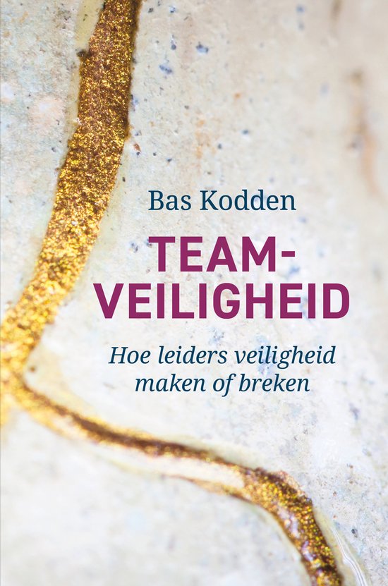 Teamveiligheid - cover