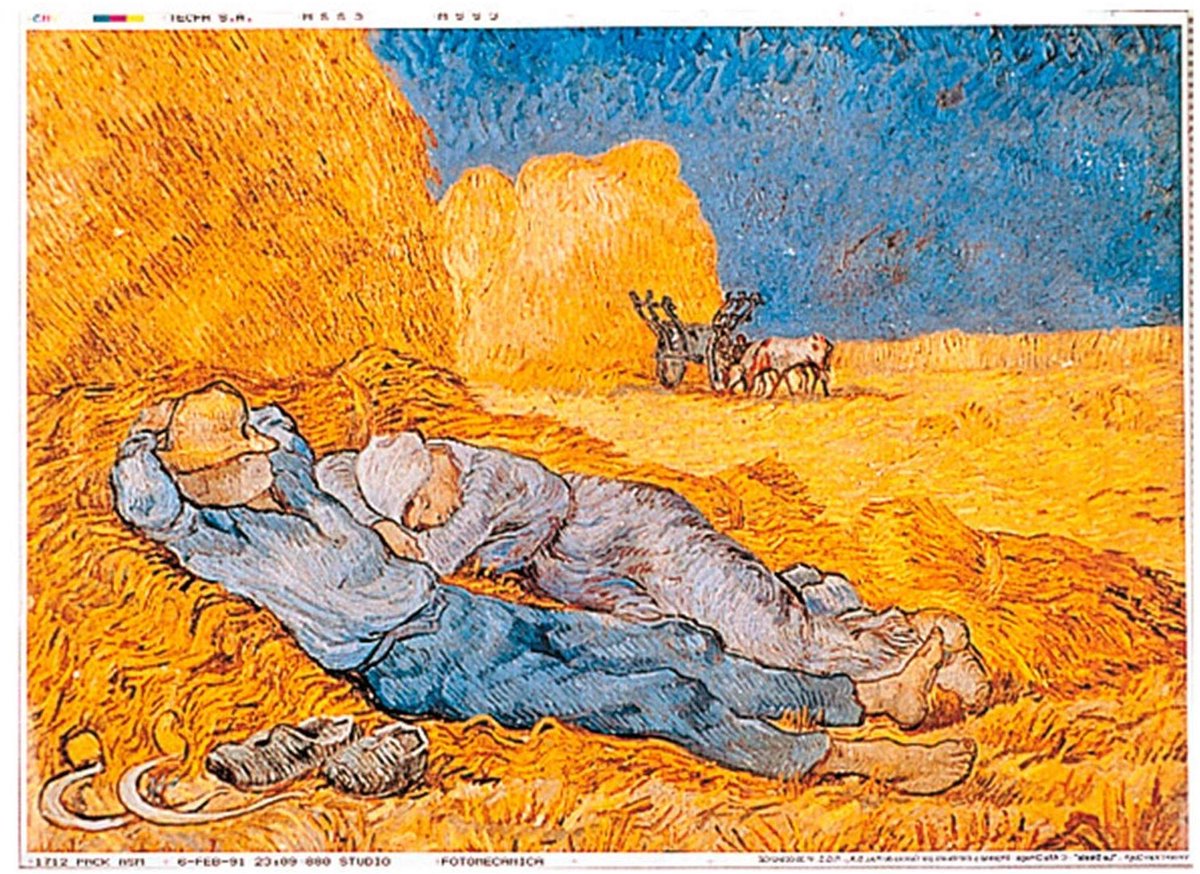Tafelmatten Offset - Placemats La Siesta - Tafeldecoratie - 500 stuks verpakking - 31x43 CM