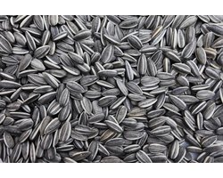Oswalt - Gestreepte Zonnebloempitten - 5kg - Buitenvogelvoer - Top kwaliteit