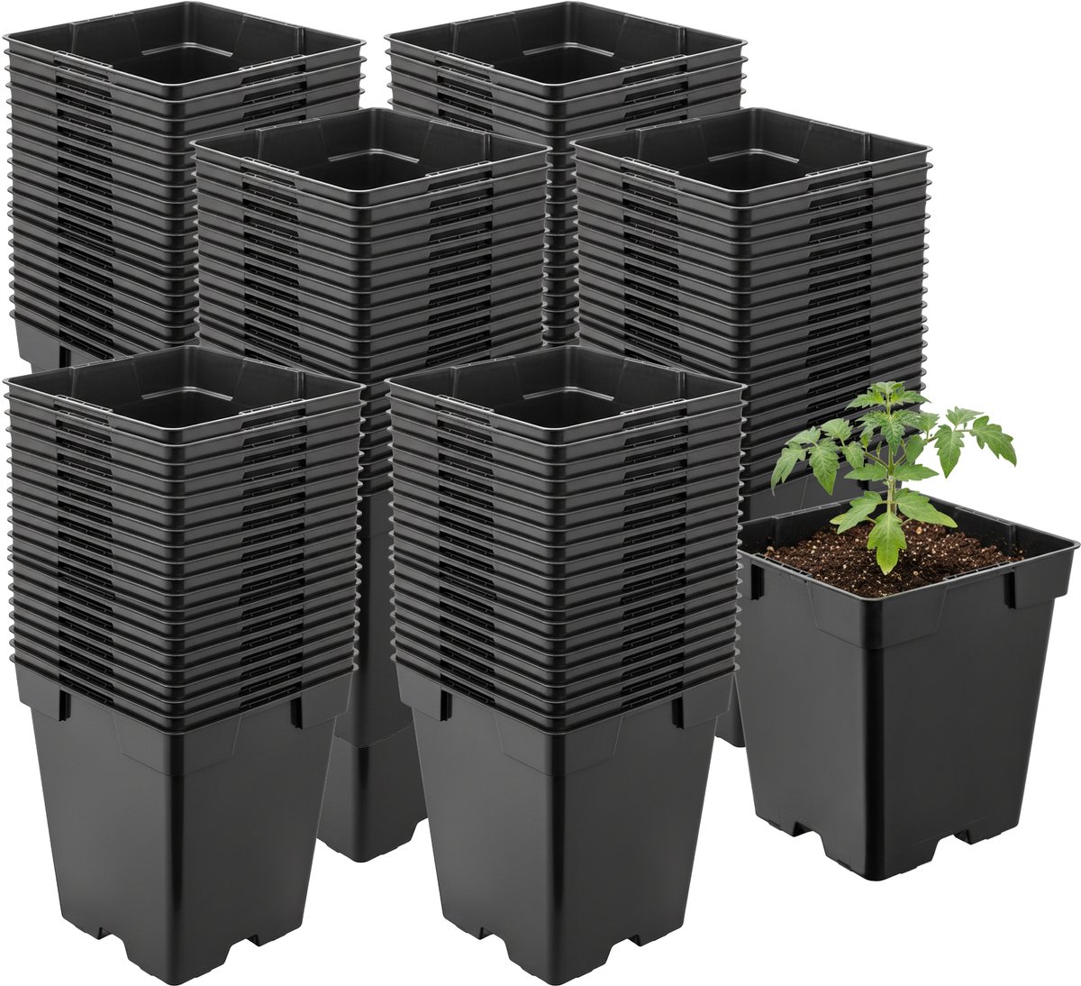 Garronda Set van 100 vierkante kunststof kweekpotten met drainagegaten voor tuin (Zwart, 11 x 11 x 12 cm (1L)) GD-KW-S