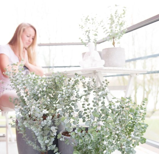 Een vrouw zit in gebedshouding met gesloten ogen bij de eucalyptusplanten.
