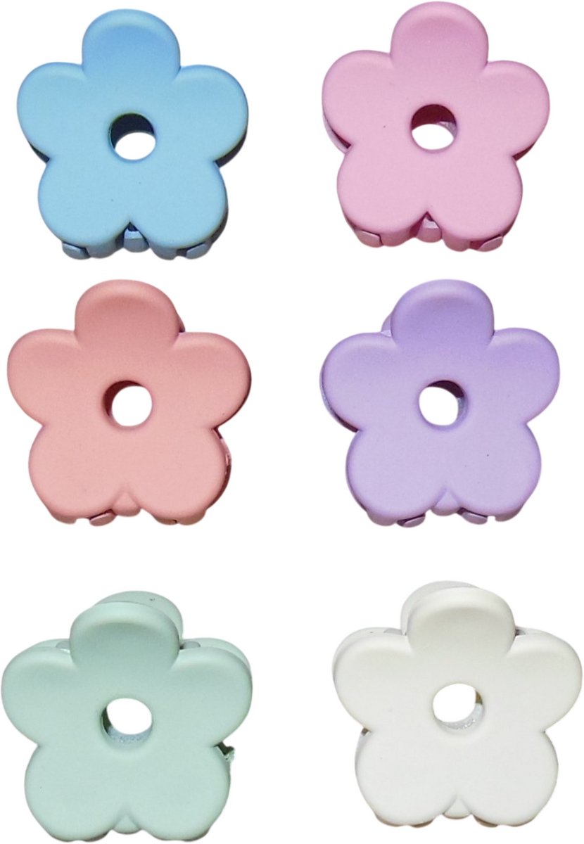 Haarklemmetjes bloemetjes zachte kleuren set van 6 stuks.