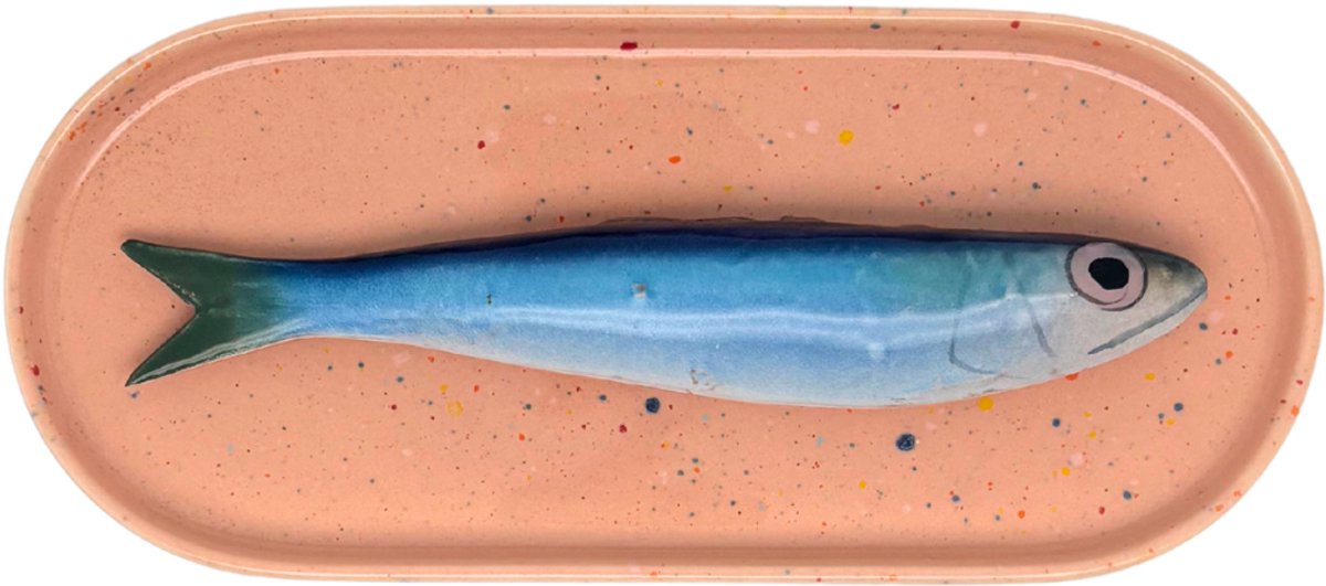 Sardine op langwerpig ovaal zalm roze, spikkel bordje, 20x9cm