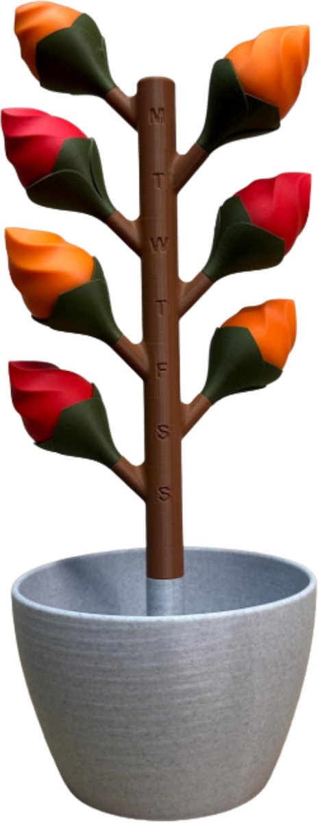 Pillendoos 7 Dagen – Bloem Design Medicijndoosje met Magnetische Bloemblaadjes (Rood-Oranje)