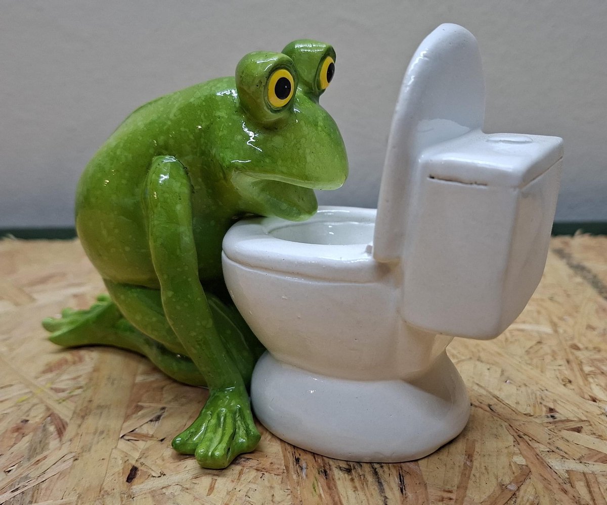 Grappig Kikker Beeldje – "Kater" Kikker bij Toilet – 16 cm – Humoristische Decoratie