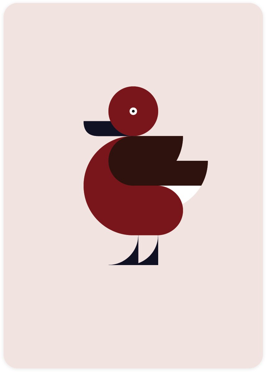 Eendje - 4x leuke wenskaarten - kaarten om te versturen - kaartenset - kaart met Witoogeend - vier kaarten met watervogels