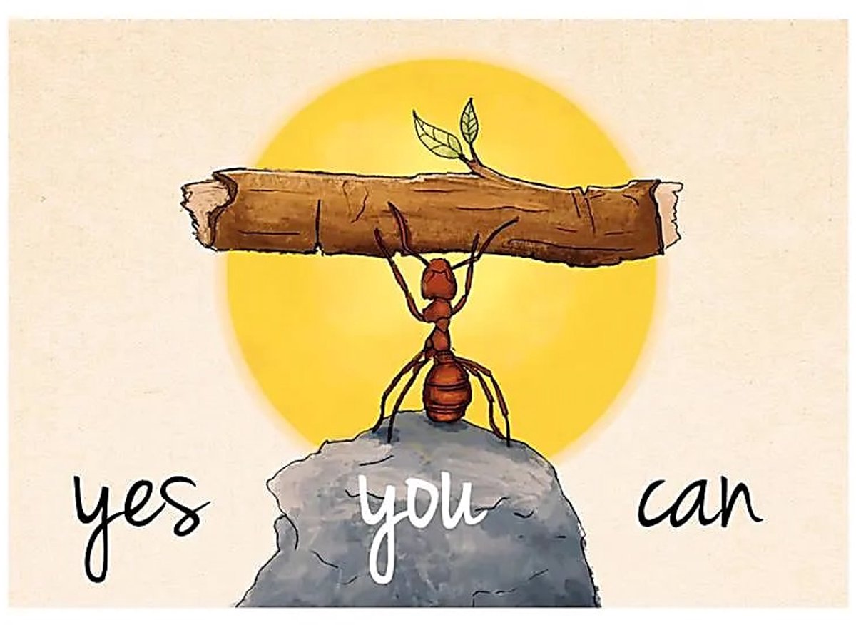Ansichtkaarten Yes you can - 15x10.5 - Papier (5 stuks)
