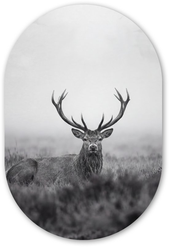 Close-up van ovaal wanddecor met hert, zittend in gras. Zwart-wit.