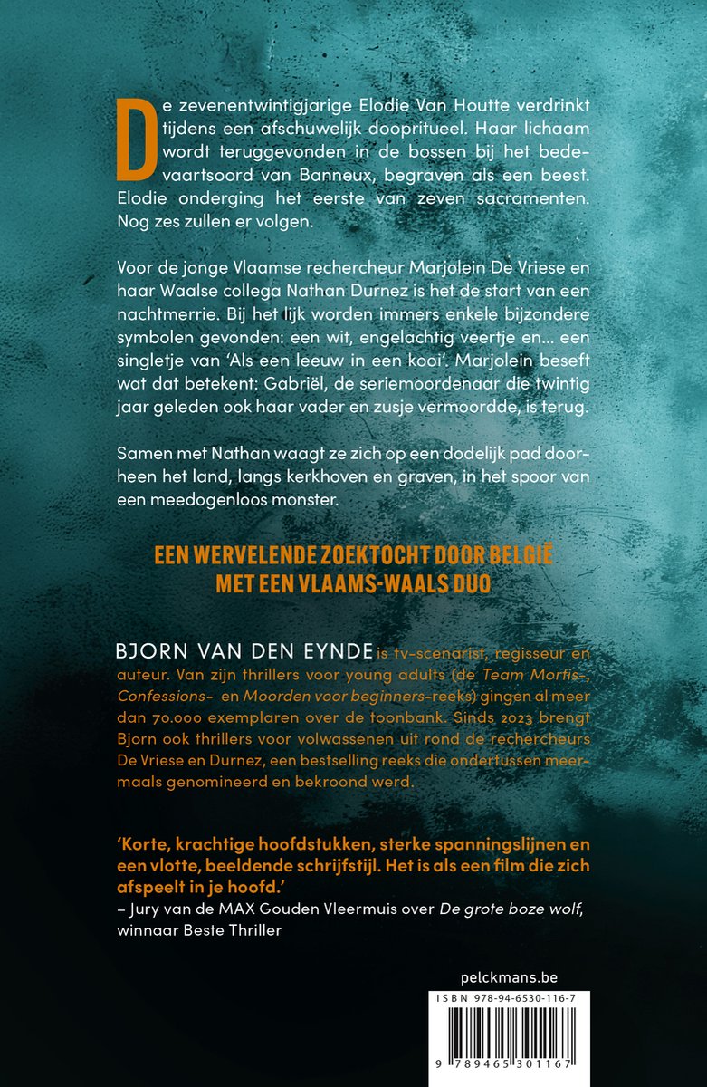De achterkant van een boek met informatie over 'De grafdelver' van Bjorn Van den Eynde. Oranje tekst op een donkere achtergrond.