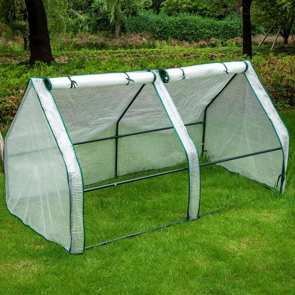 Mini Kas - Kweekkas Tuin - Planten Beschermen - Draagbaar Opvouwbaar - Verschillende Maten - Groen