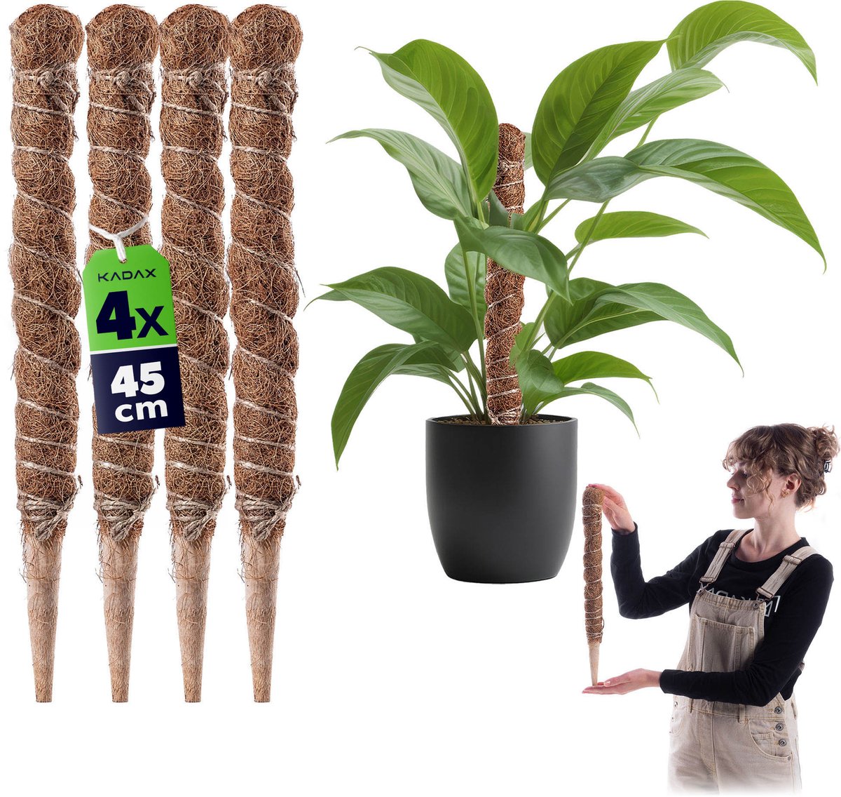 Cande kokosplantensteun 45 cm potondersteuning 4 st.