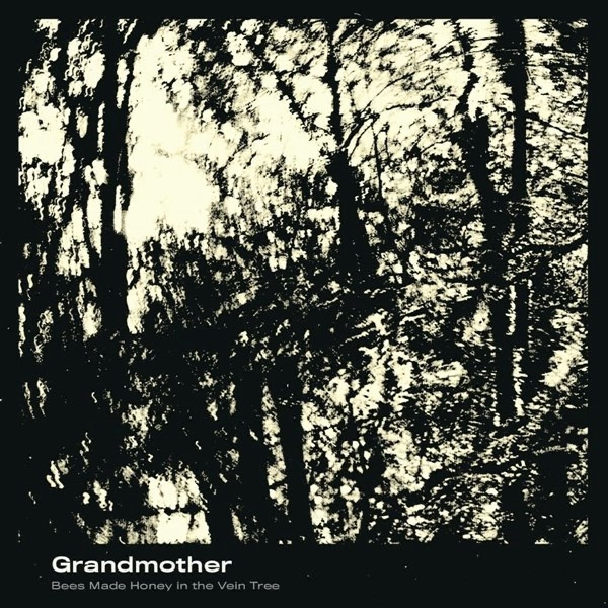Bees Made Honey In The Vein Tree - Grandmother (LP)