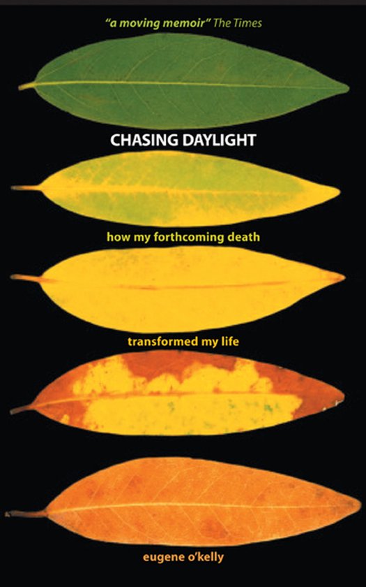 Chasing Daylight - cover