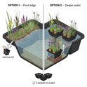 Illustratie van twee opties voor het plaatsen van waterplanten in een vijver: aan de rand en dieper water.