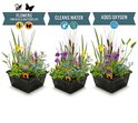 Drie manden met diverse waterplanten met bloemen in paars, geel en roze tinten.