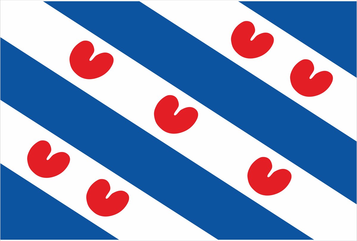 Vlag Friesland formaat 70 x 100 cm van Shirtmakelaar