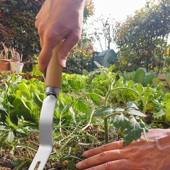 Onkruidverwijderaar Gereedschap - Grasverwijderaar Wortel - Tuinonderhoud Vereenvoudigen - Roestvrij Staal - 27 cm Lengte - Zilverkleurig — afbeelding 4