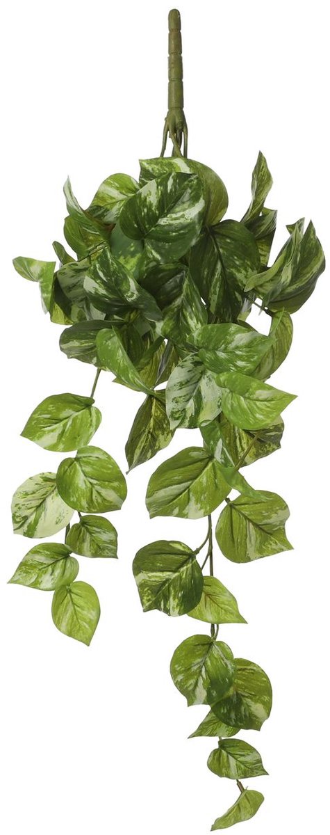 Mica Decorations Decoratieve plant Mica Decorations Potos 14 x 58 x 20 cm Hanger groen