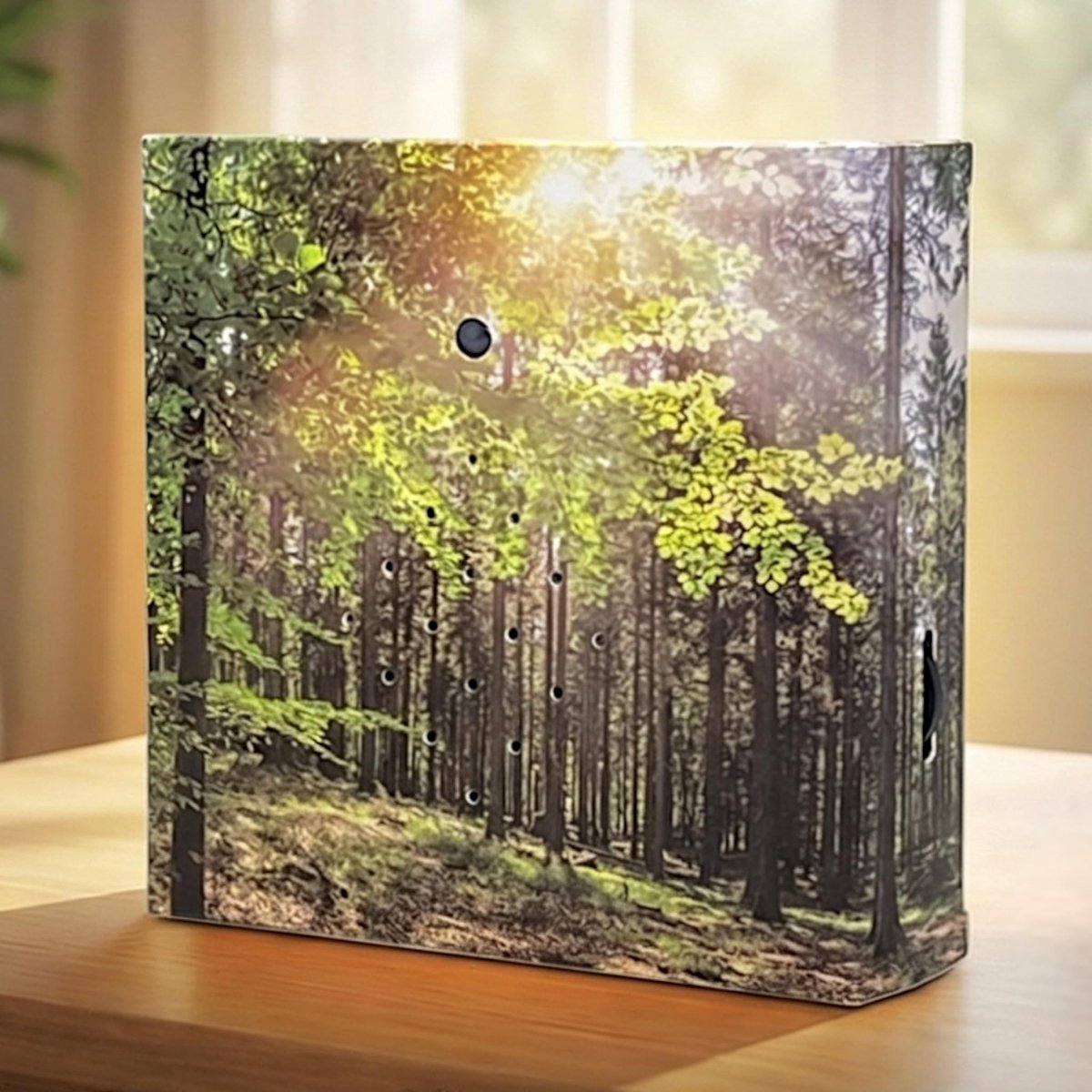 OmGoods - Dailygoody - Soundbox - Vogelzang - Weldadige ontspanning - 12 x 12 cm - Natuurlijke geluiden - Ideaal voor badkamer en kantoor
