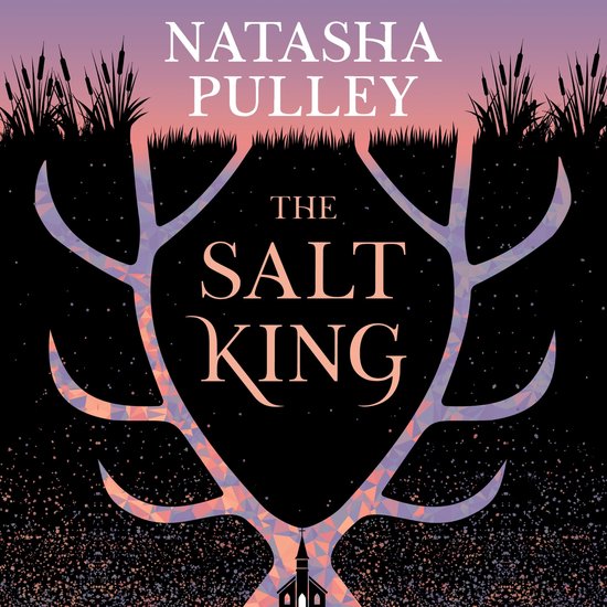 The Salt King - cover