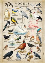 Affiche vintage Oiseaux des Pays-Bas - 43 x 61 cm - Kleurmedia® Collection Botanique Rétro 2026 - Affiches avec noms néerlandais