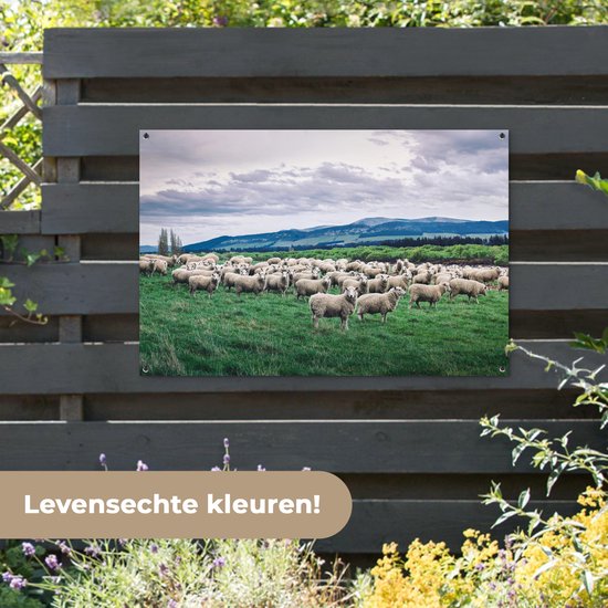 Tuinposter 120x80 cm - Tuindecoratie Schapen - Natuur - Gras - Poster voor in de tuin - Buiten decoratie - Schutting tuinschilderij - Tuindoek muurdecoratie - Wanddecoratie balkondoek
