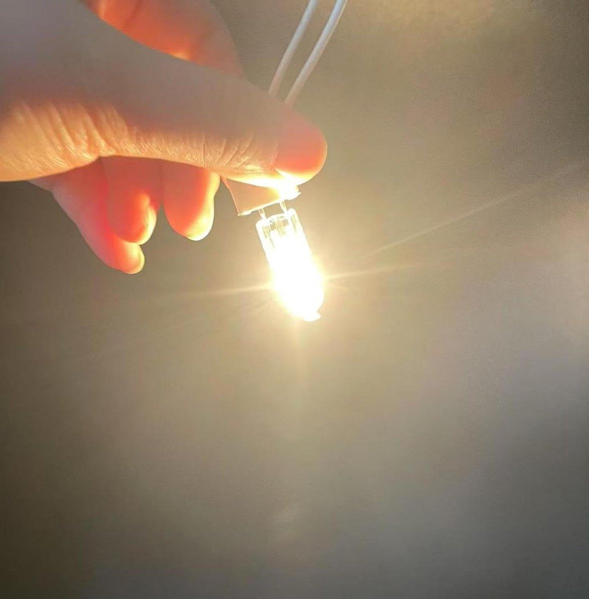 Halogeenlampen - Gloeilampen - Verlichting - Warm wit licht - 5 stuks - Transparant