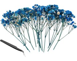 Gedroogde Bloemen - Natuurlijke Decoratie - Hobby Ambachten - Levendige Kleuren - 30 Stuks 10cm - Donkerblauw