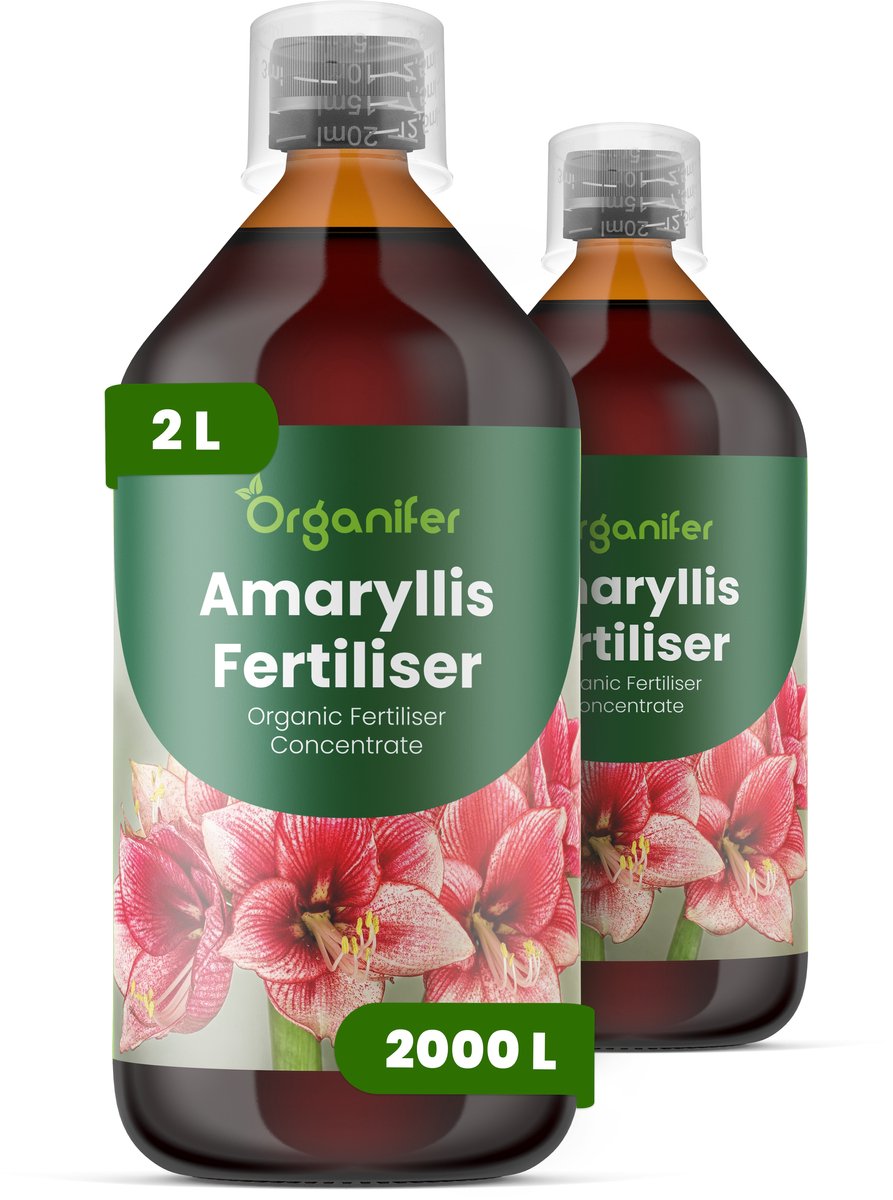 Vloeibare Meststof Voor Amaryllis 2X1 L Voor 2000 L - Npk 3-4-3 - Voor Sterke Bolontwikkeling - Grote Bloemen - Intense Kleur - Rechtopstaande Bloemstelen - Krachtige Wortelontwikkeling - Knopvorming - Bolvitaliteit - Organifer