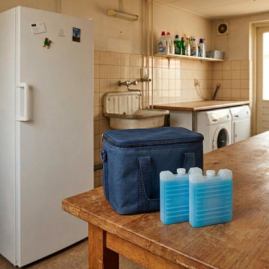 Thermos Mini koelelementen - 4x stuks - 100 gram - 8 x 9 x 2.3 cm - Koelen — afbeelding 3