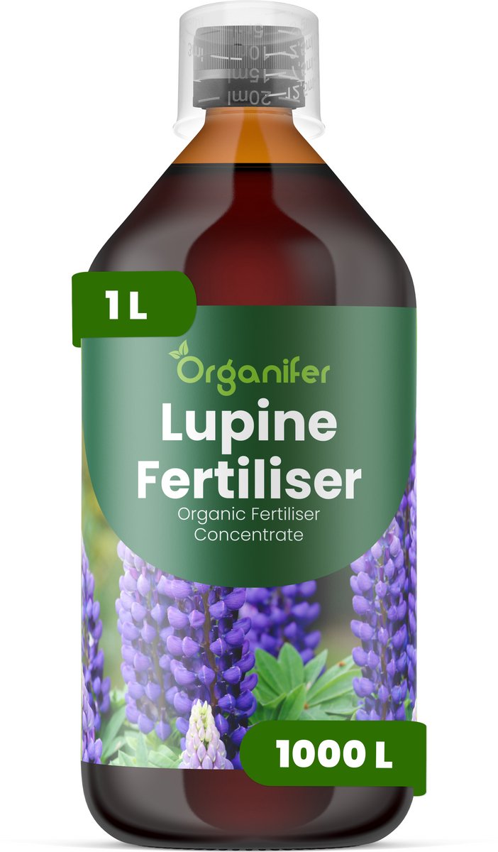Vloeibare Meststof Voor Lupinus 1 L Voor 1000 L - Npk 2-1-8 - Geschikt Voor Alle Lupinus - Bevordert De Ontwikkeling Van Hoge - Rechtopstaande Bloemaren - Verhoogt De Intensiteit Van Levendige Kleuren En Verlengt De Bloeiduur - Organifer