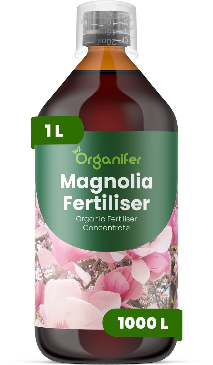 Vloeibare Meststof Voor Magnolia 1 L Voor 1000 L - Npk 3-4-3 - Geschikt Voor Alle Magnoliavariëteiten - Stimuleert Vroege Knopvorming En Rijke Bloei - Versterkt Ondiepe Magnoliawortelstelsels Voor Stabiliteit Op Lange Termijn - Organifer