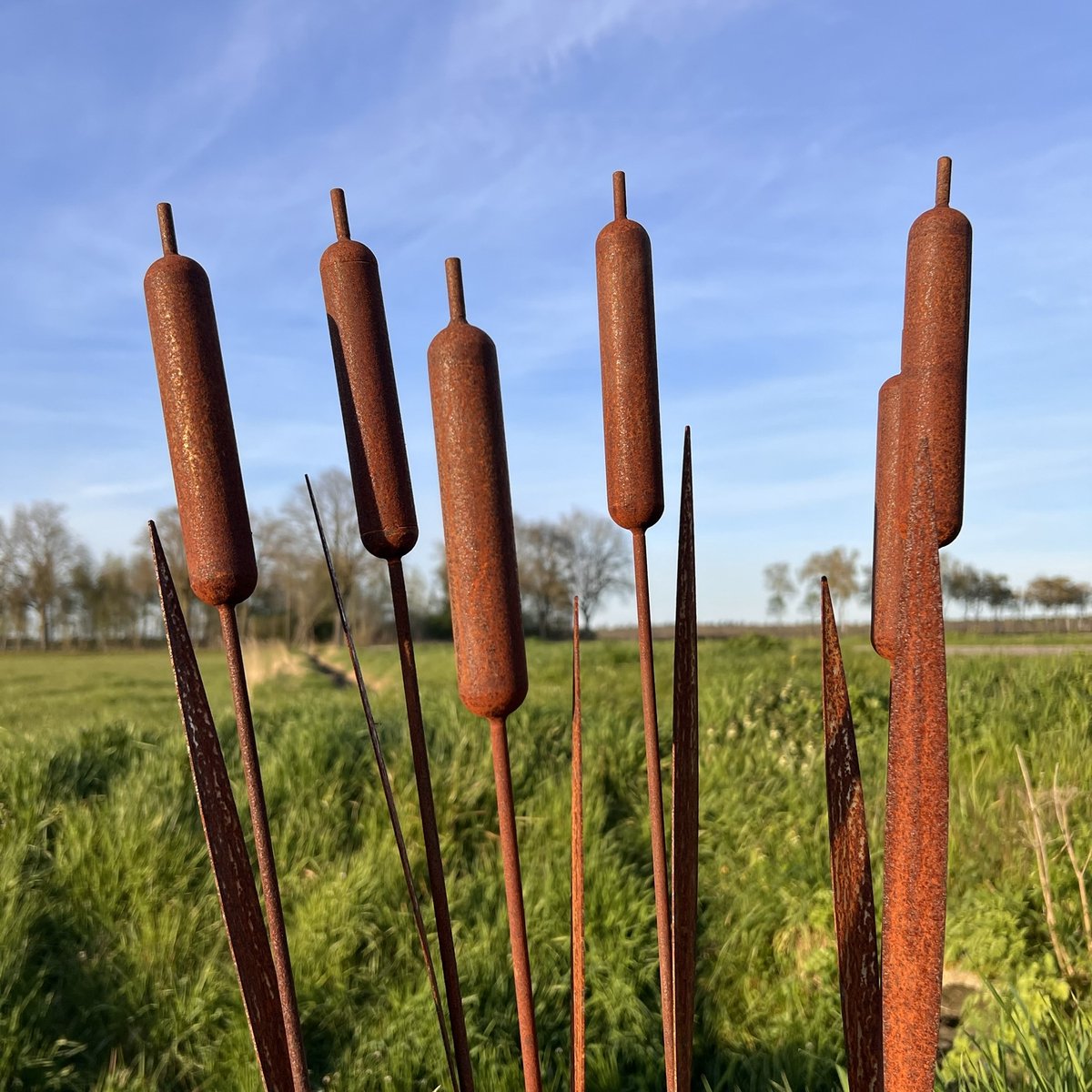 Diron - Set van 6 tuinstekers - Lisdodde - tuindecoratie - metaal roest patina - 95 cm lang.