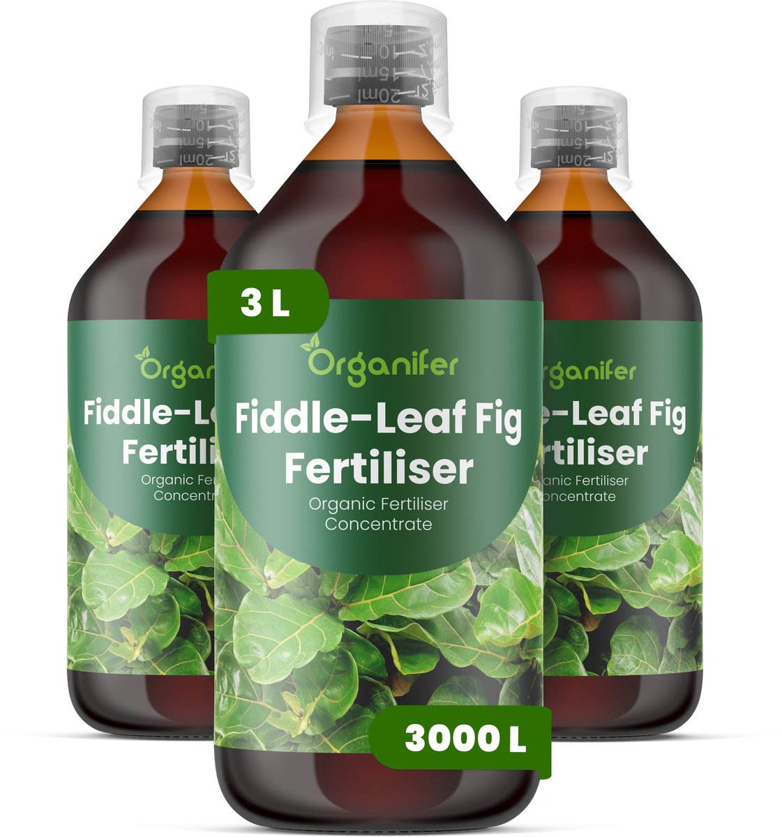 Vloeibare Meststof Voor Vioolbladplant - 3X1 L Voor 3000 L - Npk 3-4-3 - Grote Glanzende Bladeren - Sterk Wortelstelsel - Bladkleur - Sterke Vertakking - Bladval Verminderen - Geschikt Voor Jonge Decoratieve Planten - Organifer