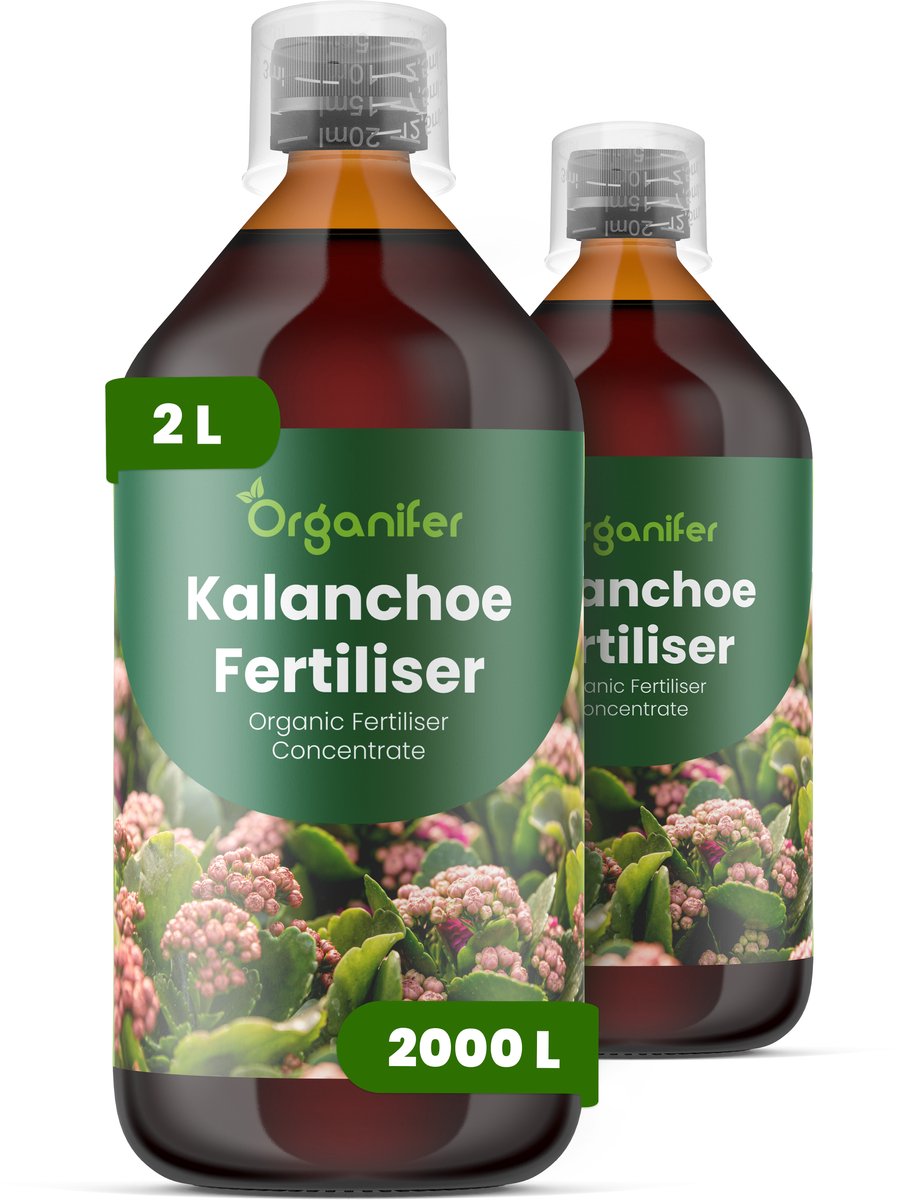Vloeibare Meststof Voor Kalanchoe 2X1 L Voor 2000 L - Npk 2-1-8 - Compacte Groei - Langdurige Bloei - Sterke Stelen - Wortelvitaliteit - Bladstevigheid - Kleurintensiteit - Bloemkwaliteit - Vetplanten - Organifer