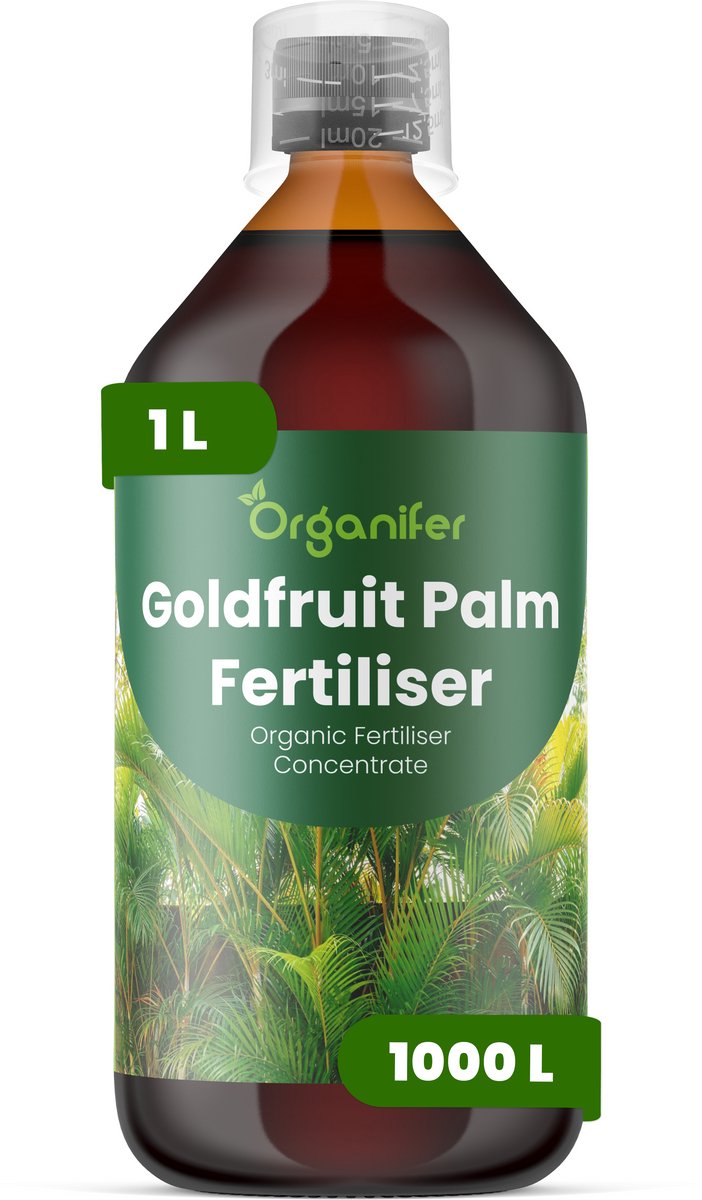 Vloeibare Meststof Voor Goudpalm 1 L Voor 1000 L - Npk 2-1-8 - Weelderige Groei - Versterkt Wortels Voor Betere Vochtregulatie - Vermindert Bladpuntverkleuring Door Kaliumrijke Voeding - Ideaal Voor Kamerpalmen - Organifer