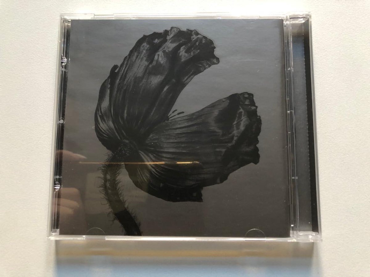 Release - Audio CD - Muziek Luisteren - Standaard Editie - 1 disk - Niet gespecificeerd