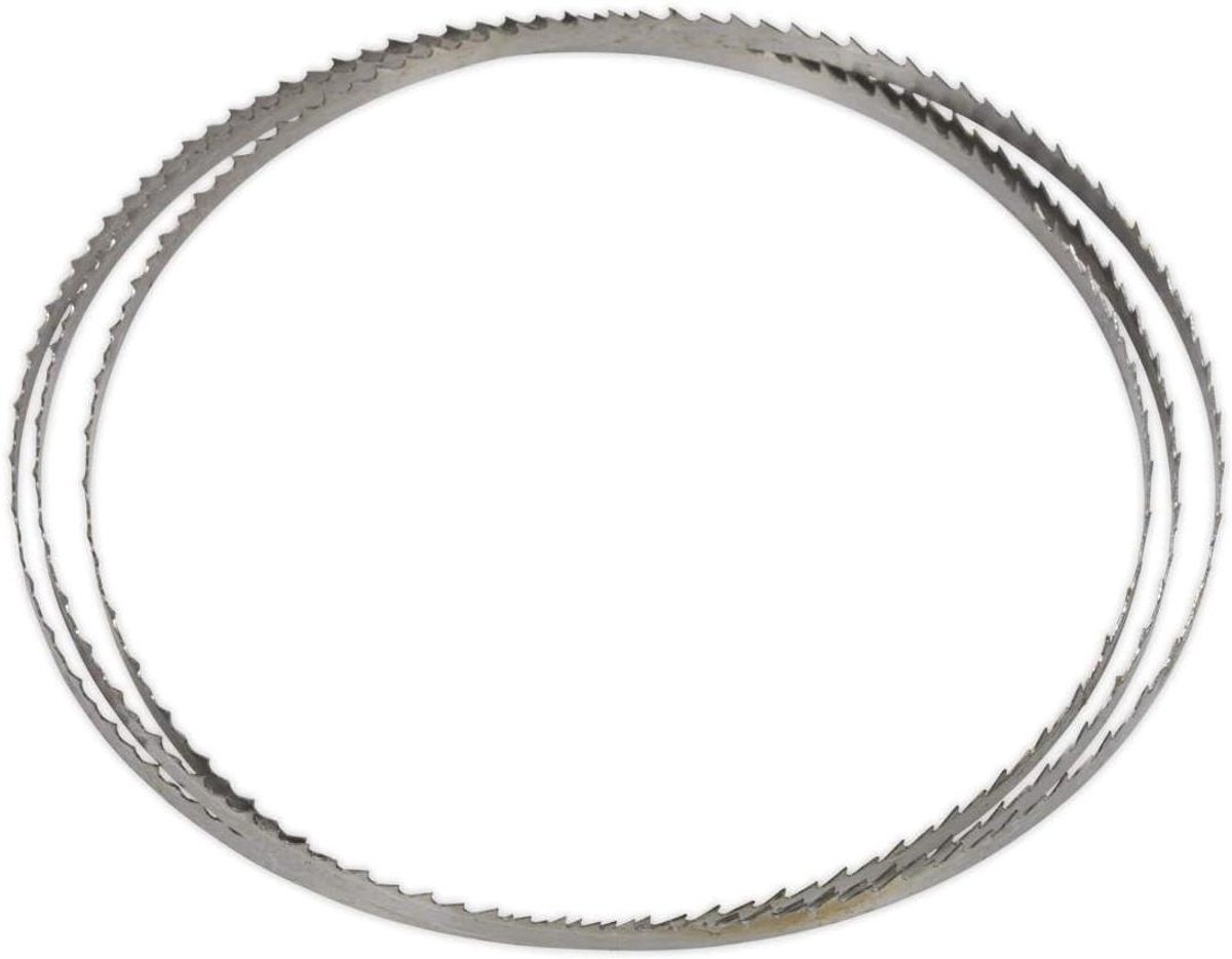Lintzaagblad - Zaagblad - Precisie Zagen - Gehard Staal - 1400x6.5mm - Zilver