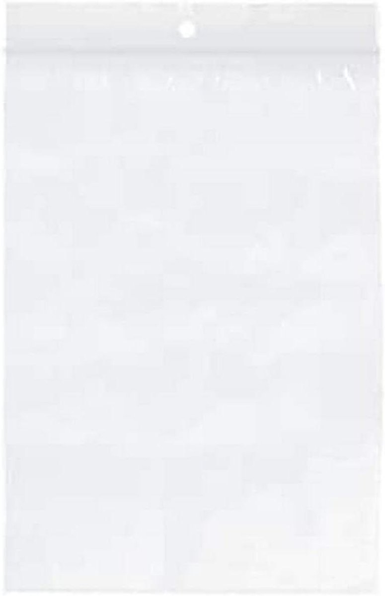Plastic Tas - Opbergzakjes - Documenten Opbergen - Met Hanggat - 60x80mm - Transparant